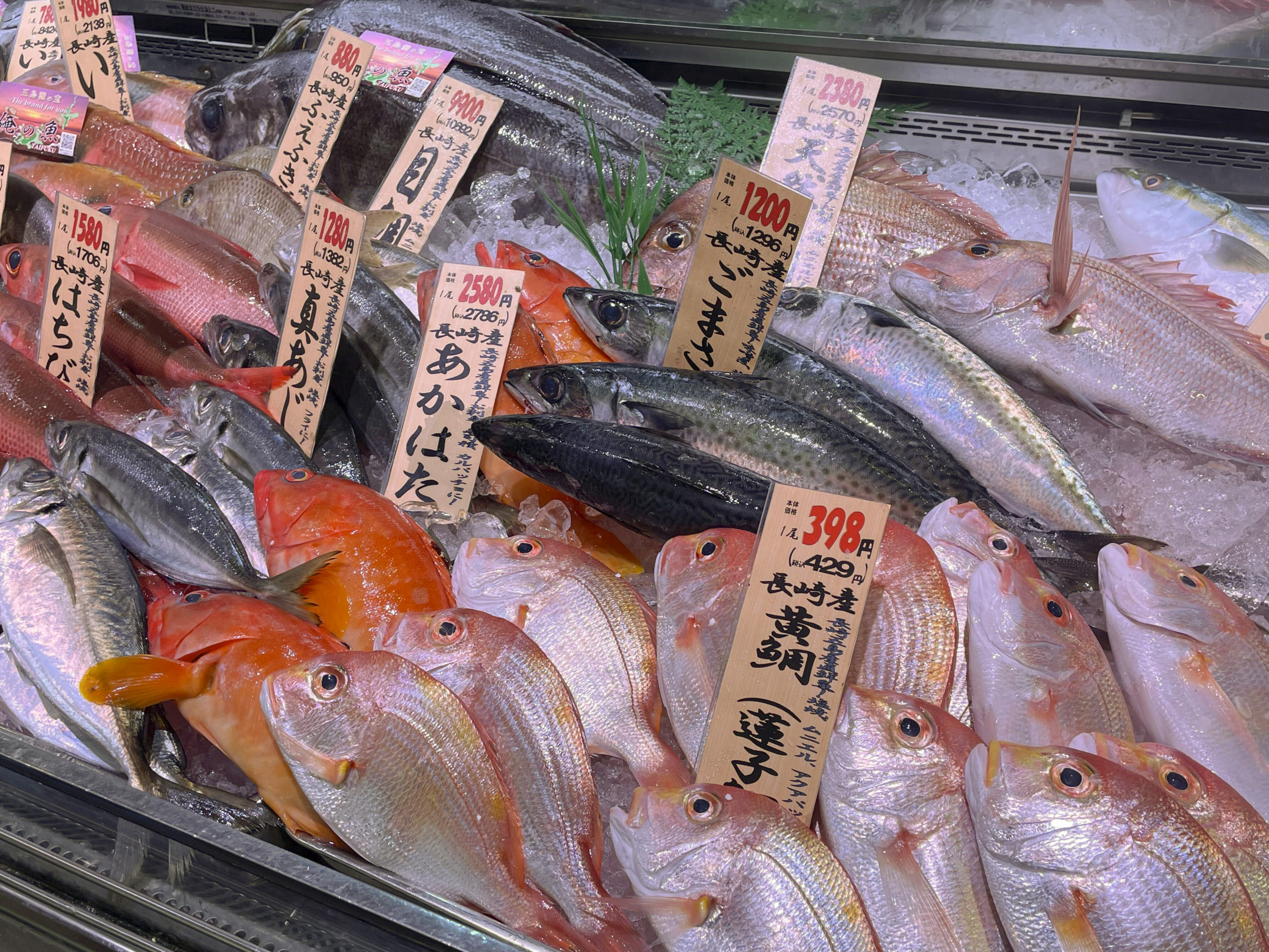表彰用品、各種行事 IMG_5728-scaled.jpg